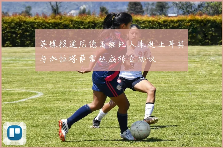 英媒报道厄德高经纪人未赴土耳其与加拉塔萨雷达成转会协议