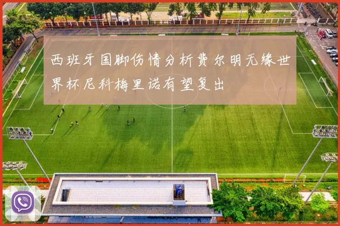 西班牙国脚伤情分析费尔明无缘世界杯尼科梅里诺有望复出